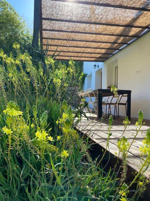 La Maison De Juliette Céret Екстериор снимка